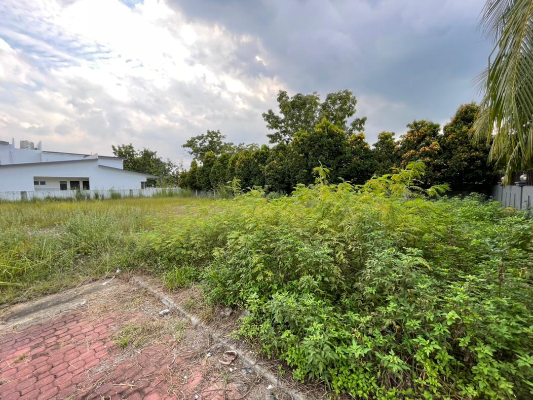 Grandville Land - Max - photo 2