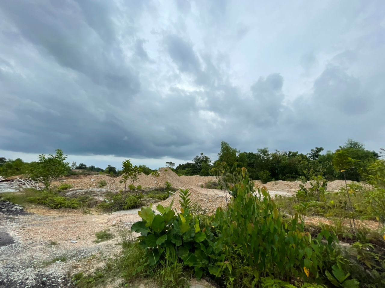 Pulau Meranti - photo 6