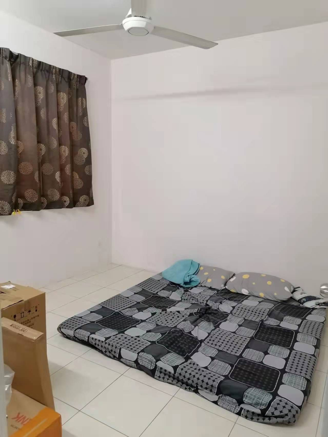 PV 13 - photo 7