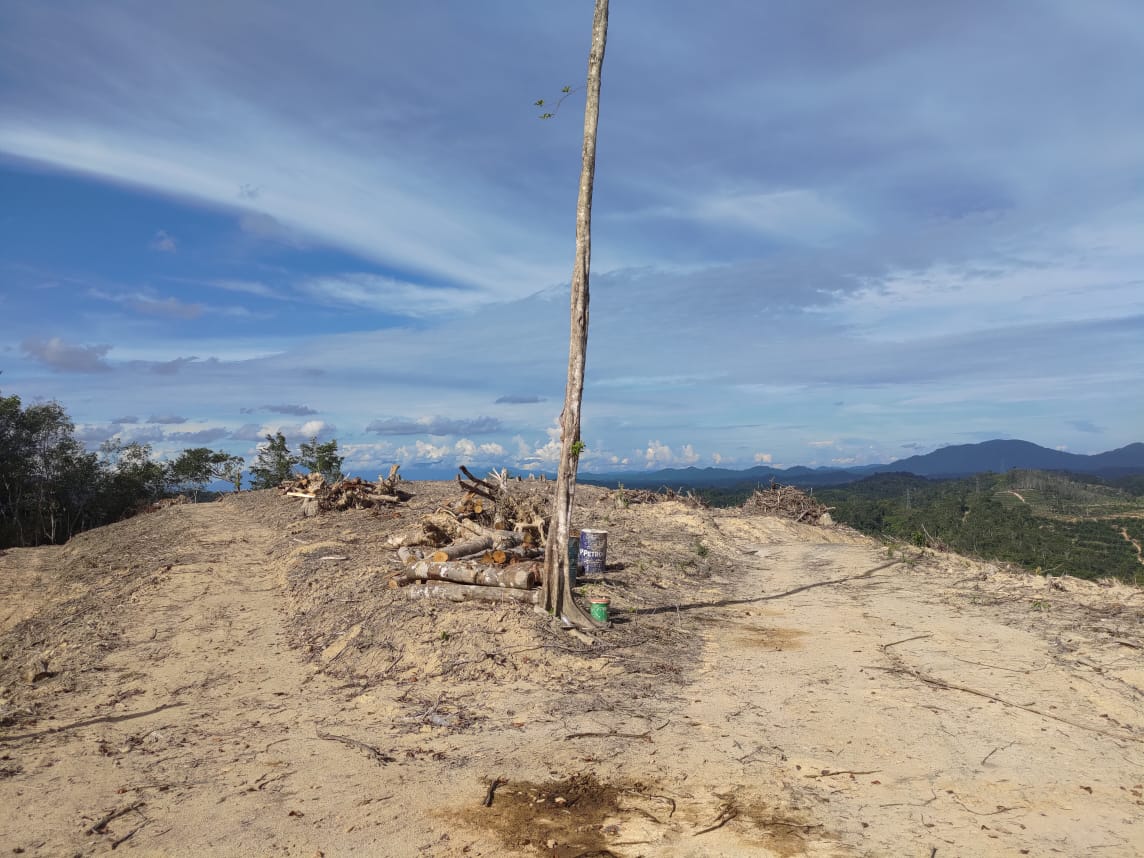Kuala Lipis - photo 2