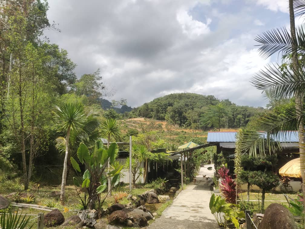 Bentong - photo 4