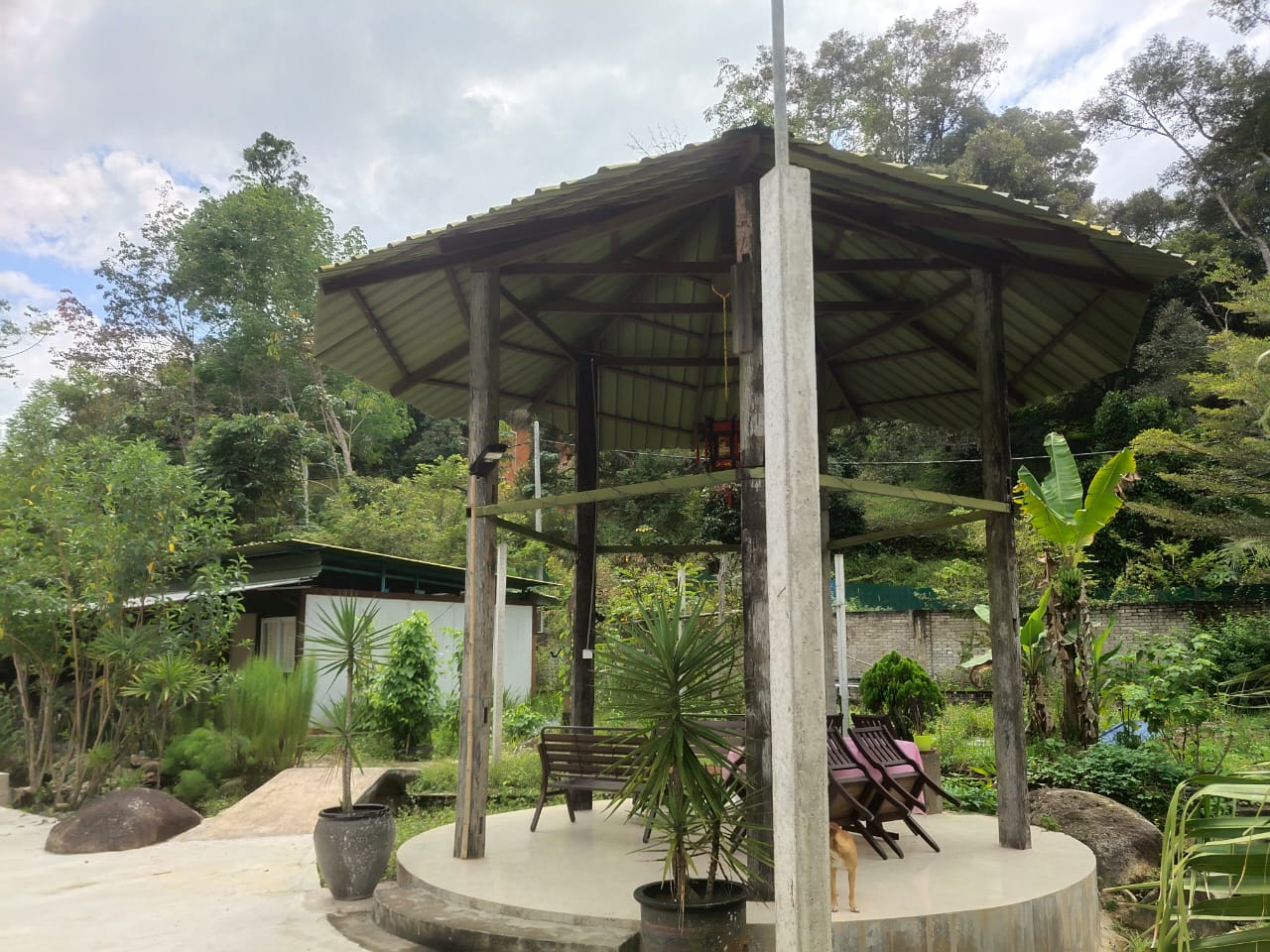 Bentong - photo 10