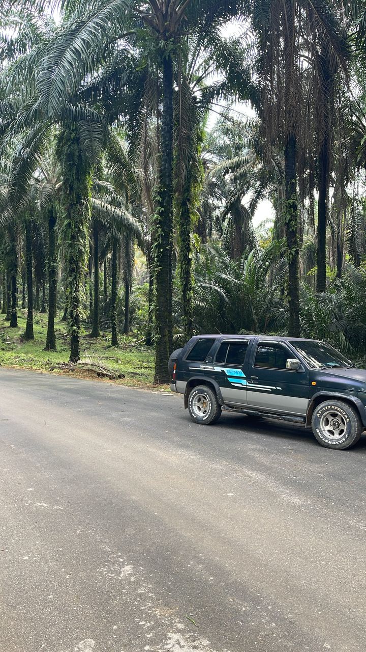 Perak bidor sungkai agriculture land for sales - photo 3