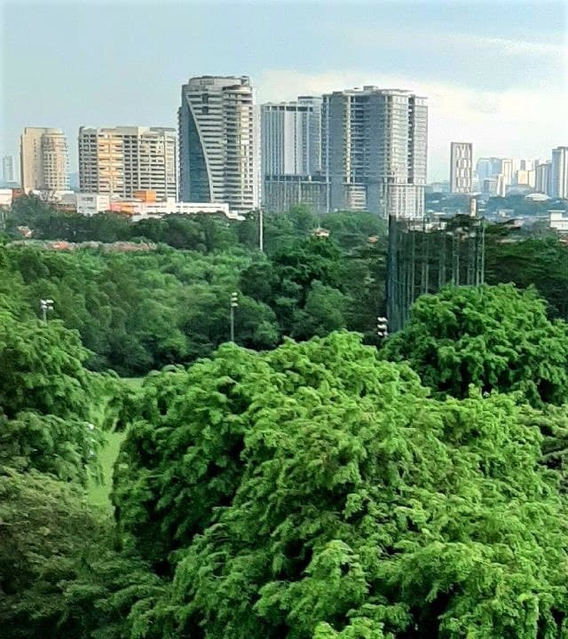 Pelangi Damansara Sentral Apartment - photo 3