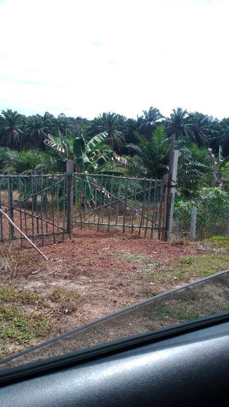 Empat Lot Tanah Malay Reserve Berjumlah 864 - photo 4