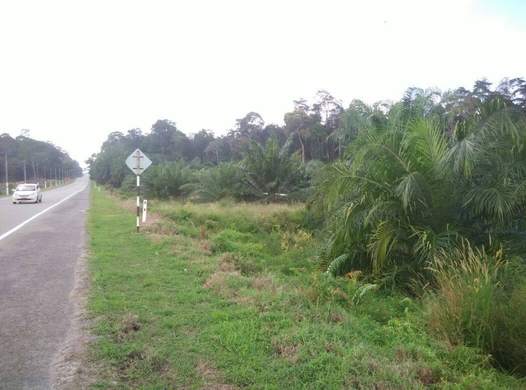 Empat Lot Tanah Malay Reserve Berjumlah 864 - photo 6