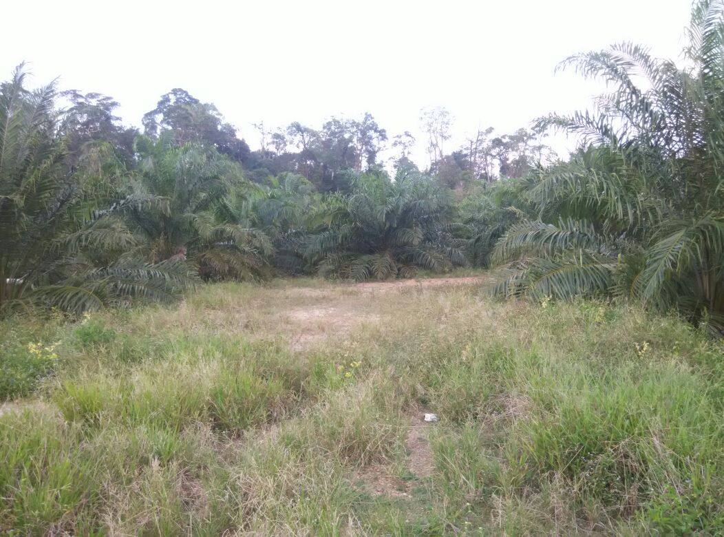 Empat Lot Tanah Malay Reserve Berjumlah 864 - photo 12