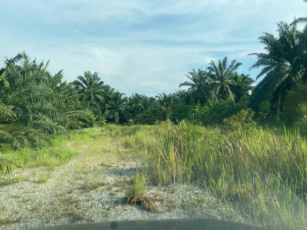 Tanah RM 850K 1 ekar Malay Reserve di Olak Lempik - photo 4