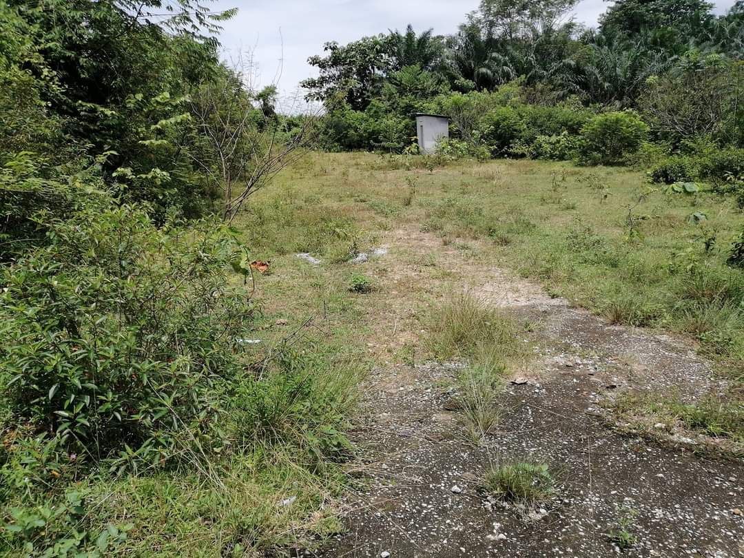 TANAH UNTUK DIJUAL DAERAH ALOR GAJAH - photo 3