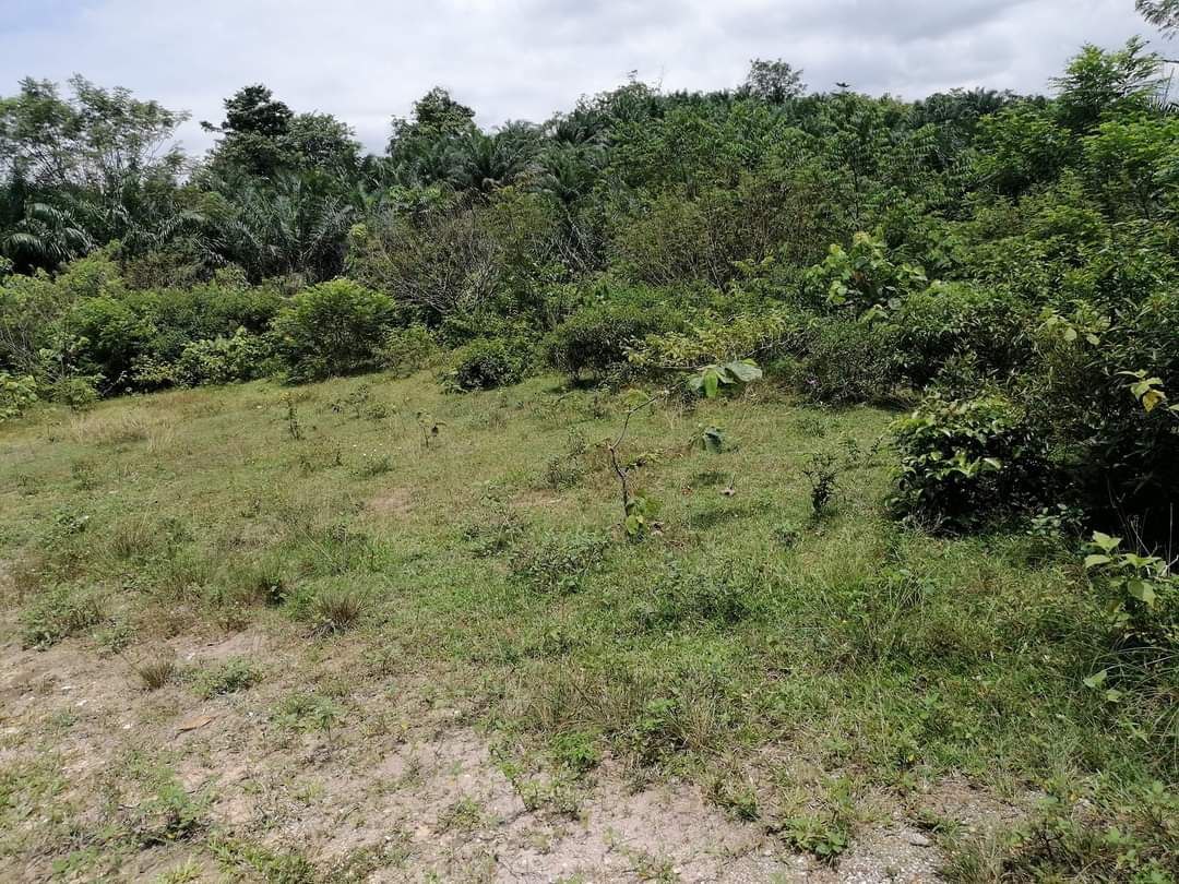 TANAH UNTUK DIJUAL DAERAH ALOR GAJAH - photo 4
