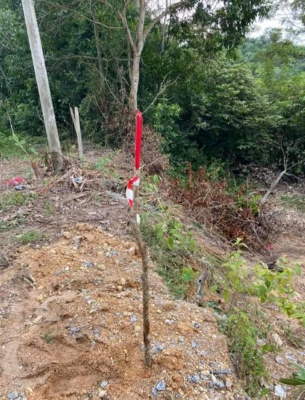 TANAH UNTUK DIJUAL DAERAH ALOR GAJAH - photo 5