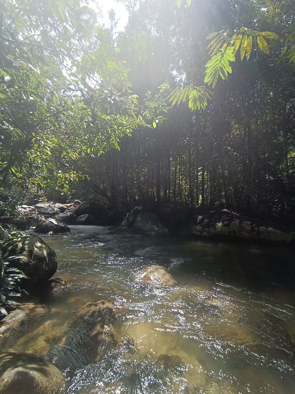 Tanah Rata Cantik Tepi Sungai - photo 2