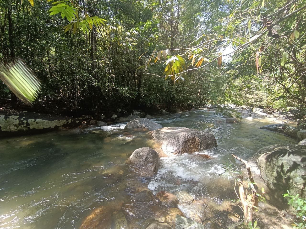 Tanah Rata Cantik Tepi Sungai - photo 3