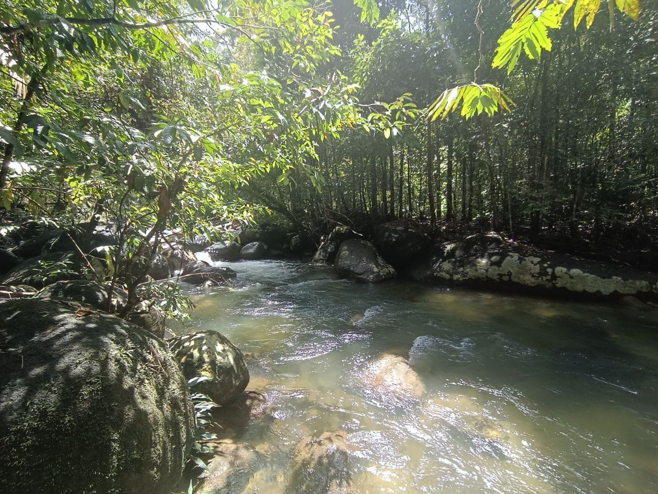 Tanah Rata Cantik Tepi Sungai - photo 4