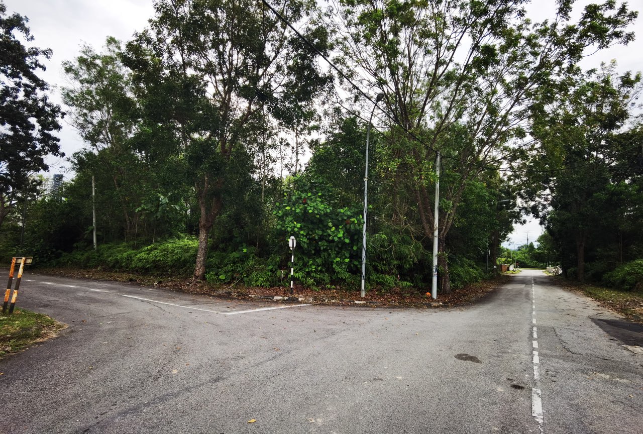 Double Frontage Corner Unit Bungalow Lot 11,883sft - photo 2