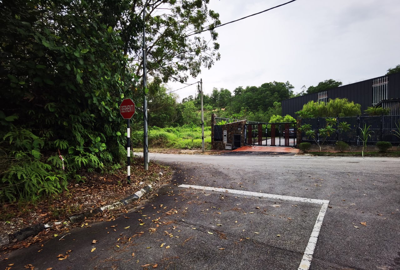 Double Frontage Corner Unit Bungalow Lot 11,883sft - photo 3