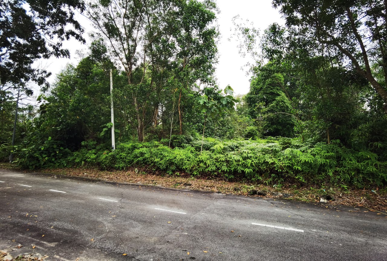 Double Frontage Corner Unit Bungalow Lot 11,883sft - photo 7