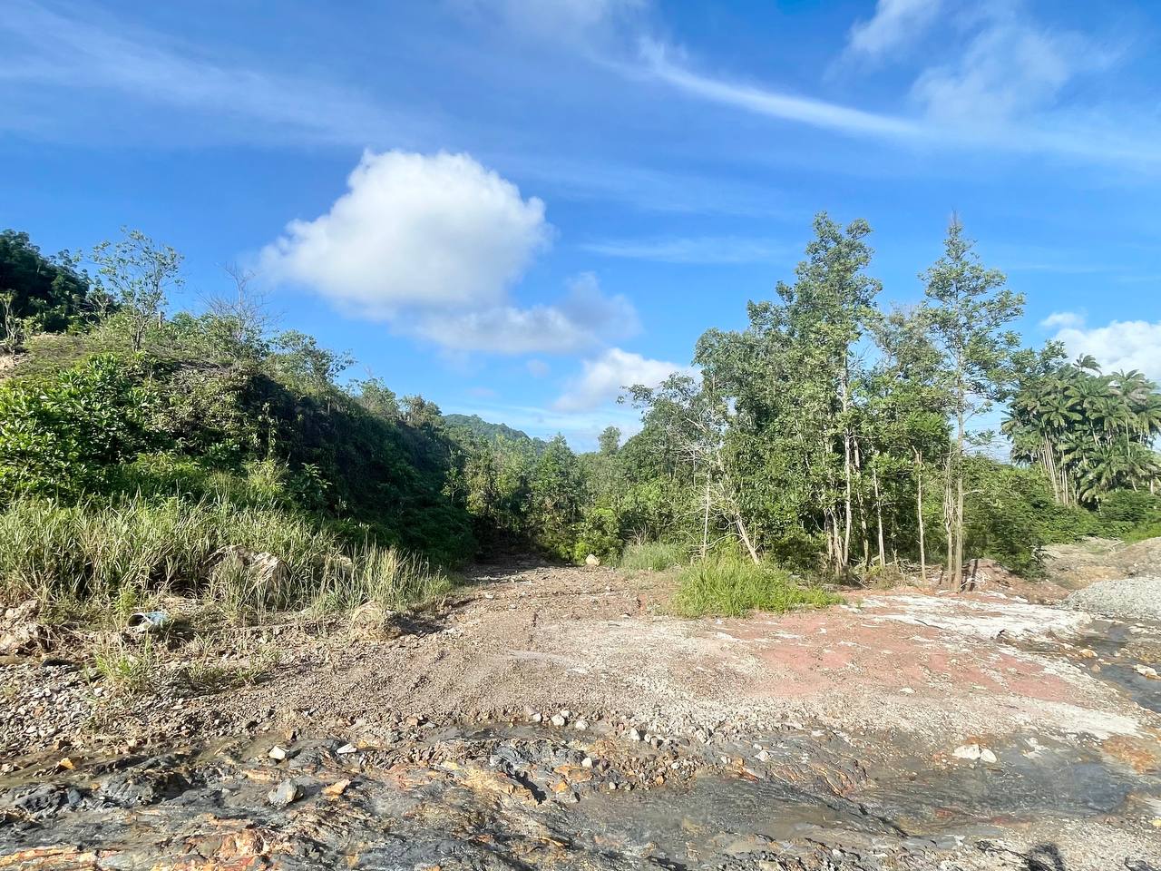 Tanah Pertanian di Perindustrian Teluk Kalong Kem - photo 4