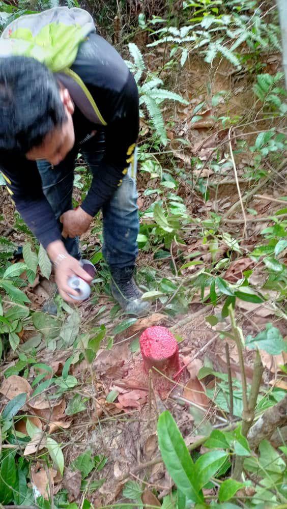 Tanah Kebun, Slim River - photo 4