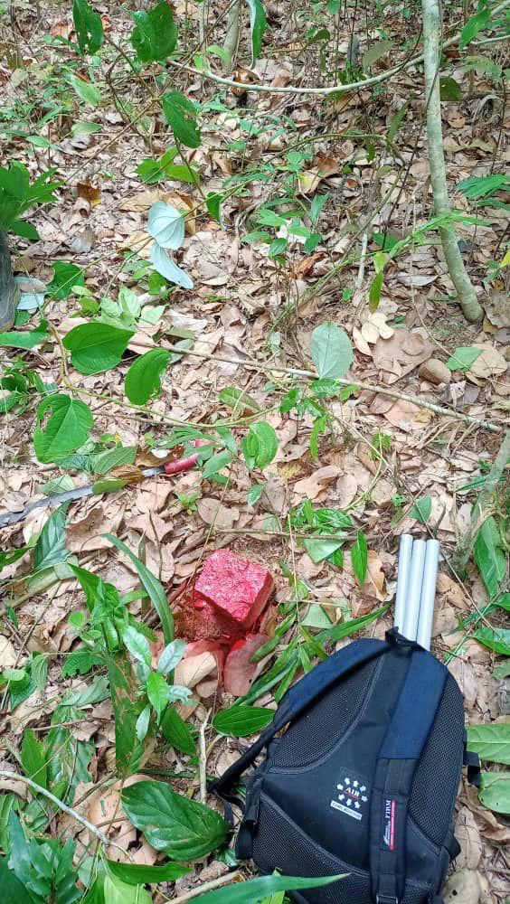 Tanah Kebun, Slim River - photo 5