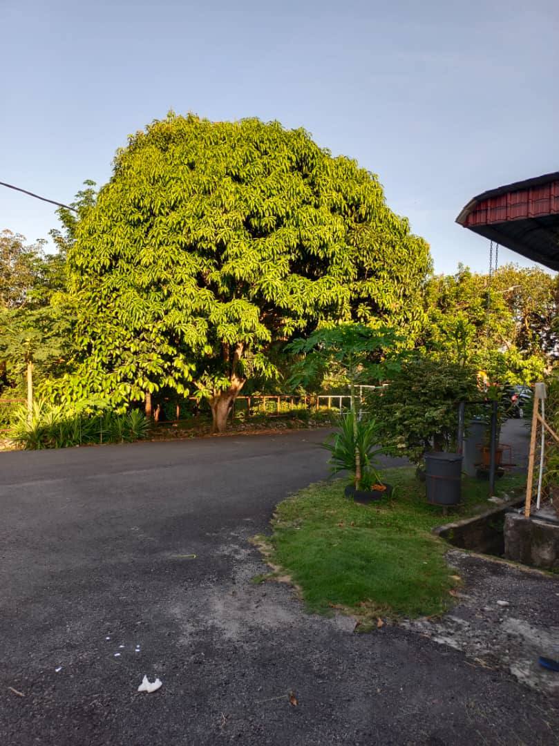 TAMAN SERI TANJUNG, TANJUNG KLING MELAKA - photo 6