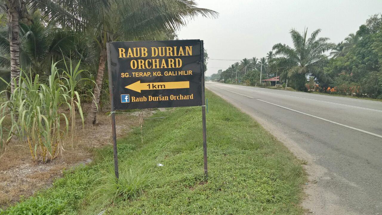 TANAH KEBUN GETAH - MUKIM GALI, SG TERAP, RAUB - photo 1