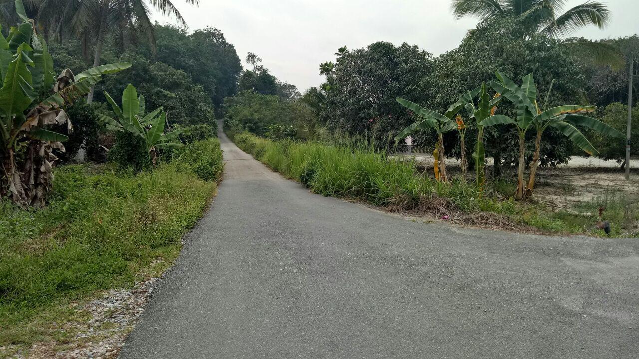 TANAH KEBUN GETAH - MUKIM GALI, SG TERAP, RAUB - photo 2