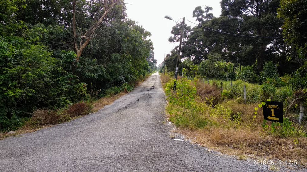 TANAH PERTANIAN DUSUN KAMUNTING, PERAK - photo 2