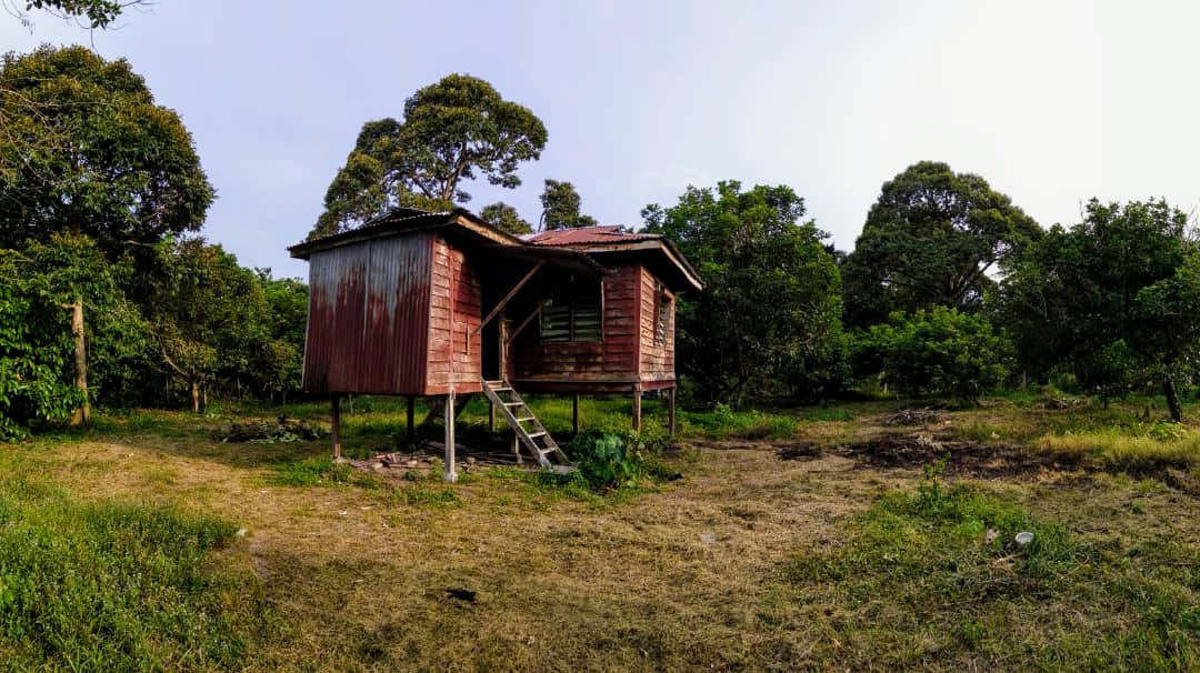 TANAH PERTANIAN DUSUN KAMUNTING, PERAK - photo 3