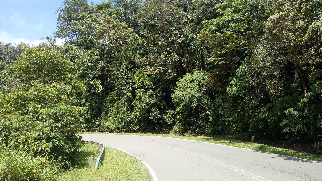 TANAH PERTANIAN GETAH MUKIM TANJONG BESAR, LIPIS - photo 2