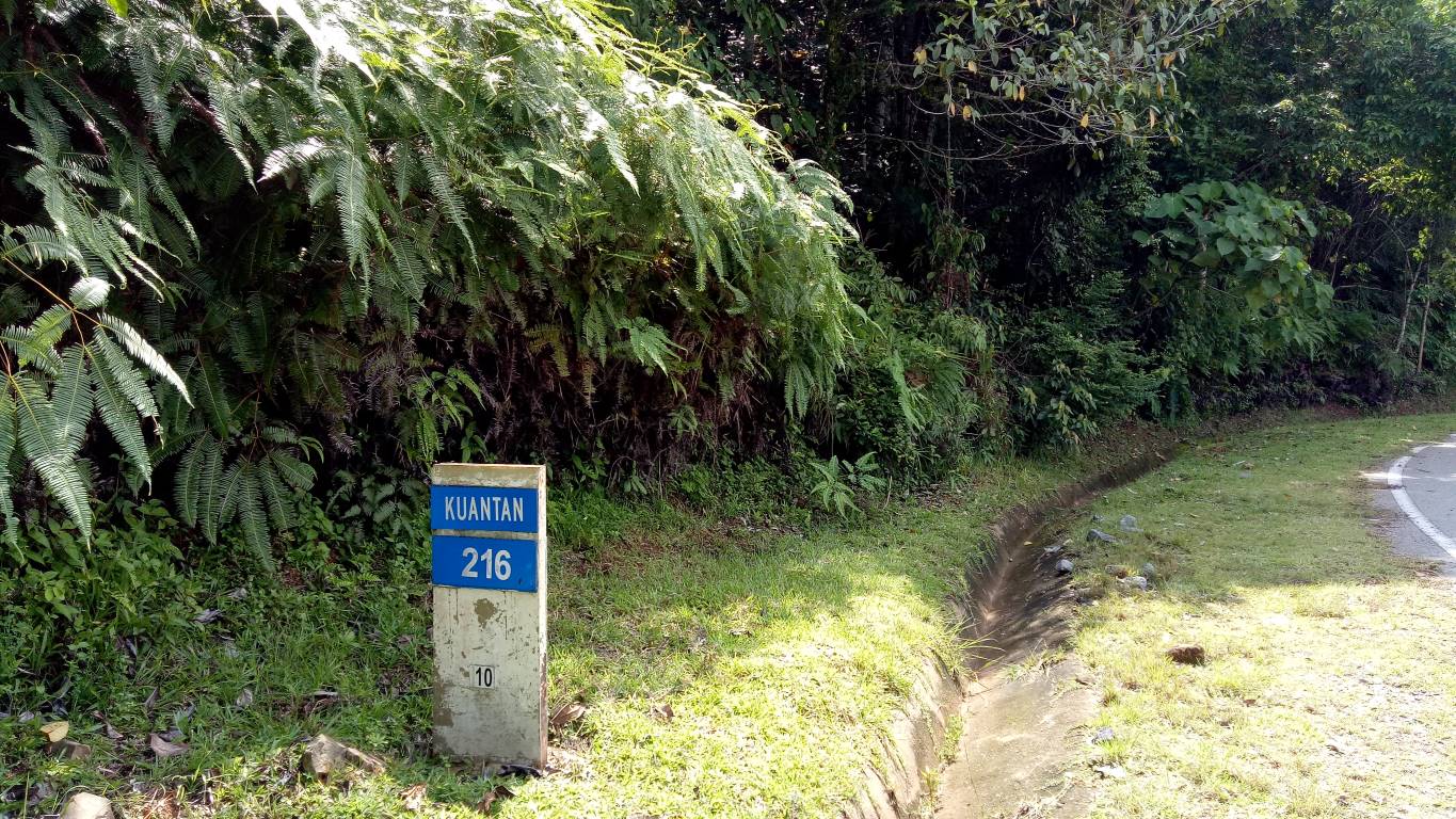 25246 TANAH PERTANIAN GETAH, LIPIS - photo 3