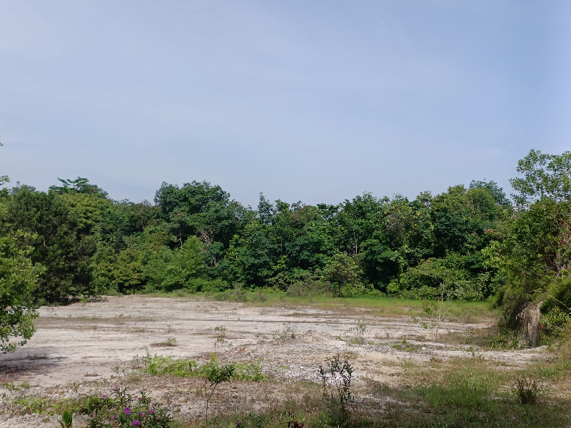 tanah lot untuk dijual  - photo 3