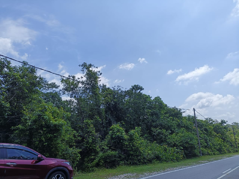 Tanah bangunan Paman kemaman - photo 2