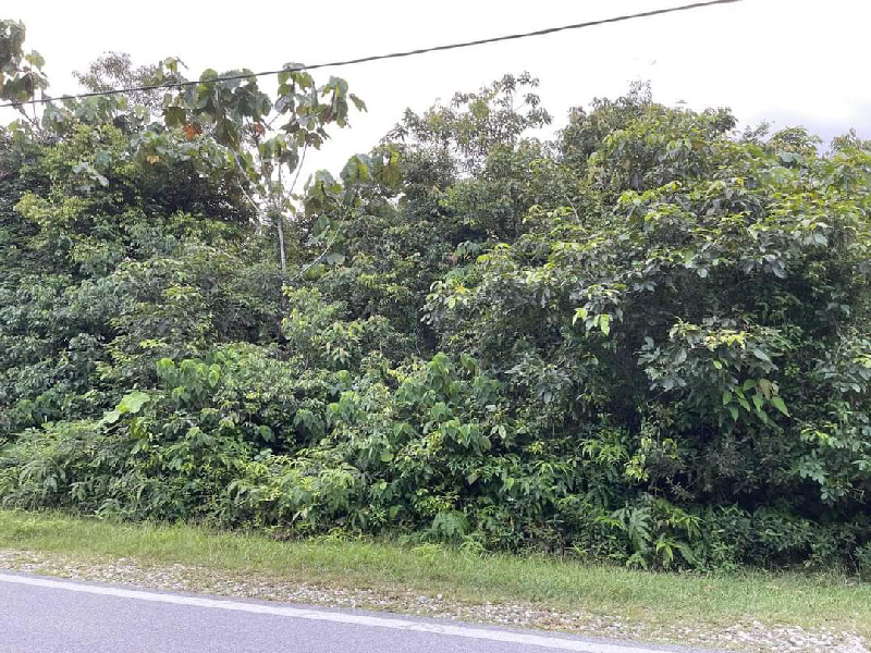 Tanah bangunan Paman kemaman - photo 3