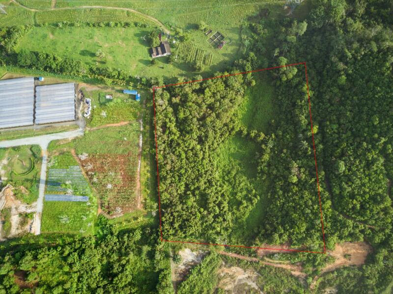 Non Bumi Algriculture Land Jenderam for Sale - photo 4