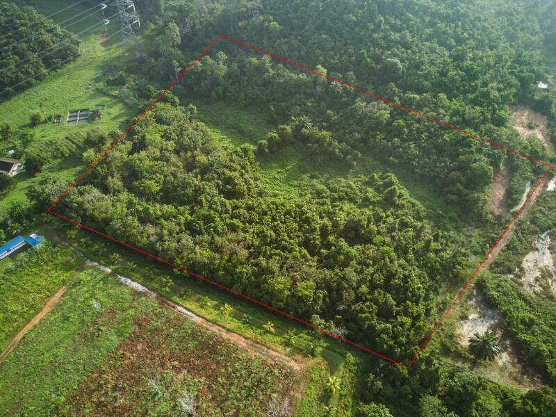 Non Bumi Algriculture Land Jenderam for Sale - photo 5