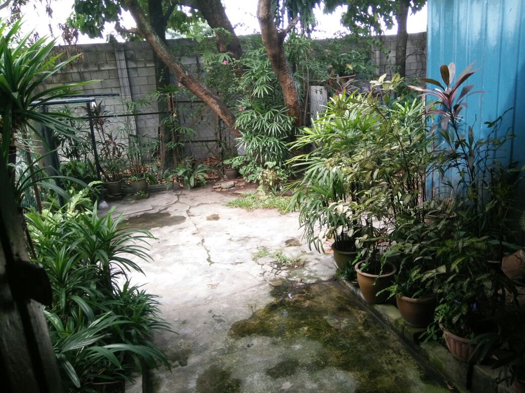 3sty terrace, Taman Sri Sinar, Segambut, Kepong - photo 9