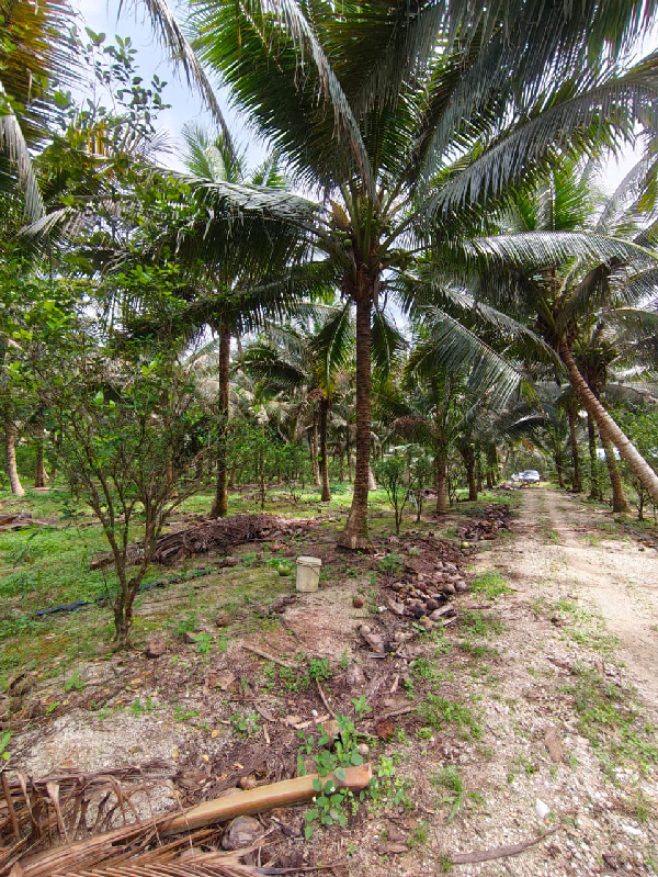 IQI Realty Sdn Bhd - photo 3