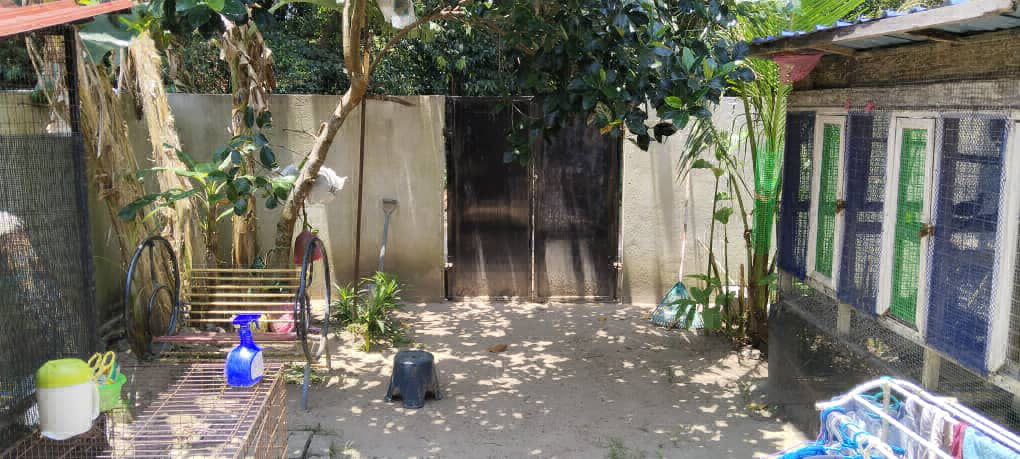 Teres Setingkat Taman Geliga,Kemaman,Terengganu - photo 3