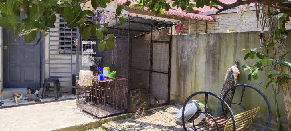 Teres Setingkat Taman Geliga,Kemaman,Terengganu - photo 5