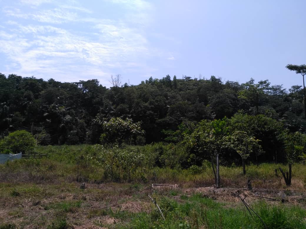 LAND BUKIT SENTOSA RAWANG, SELANGOR - photo 2