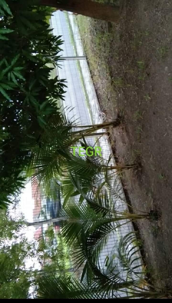 699K Bandar Botanik klang 20x75 double storey - photo 6