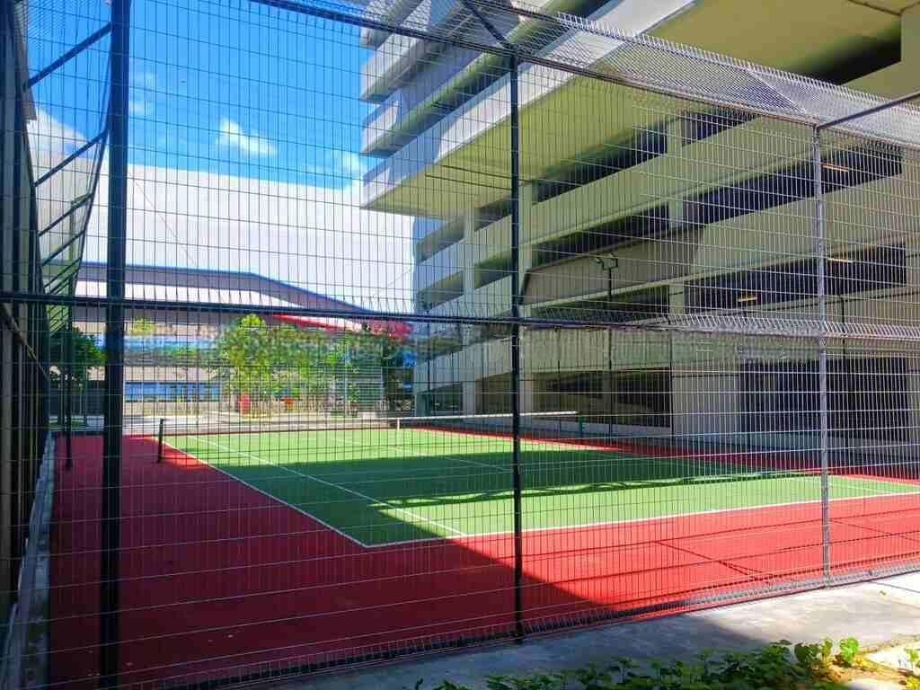 M vertica - photo 7