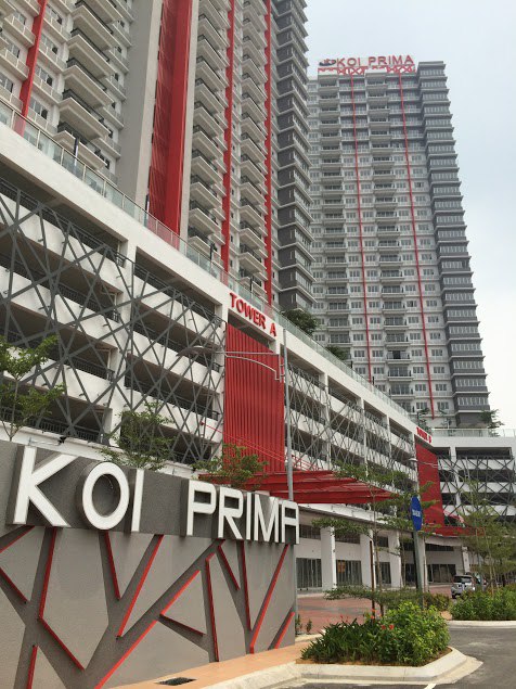 Koi Prima - photo 3