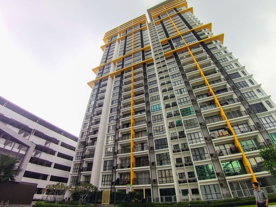 Oasis 1