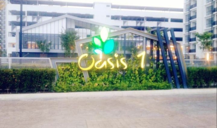 Oasis 1 - photo 6