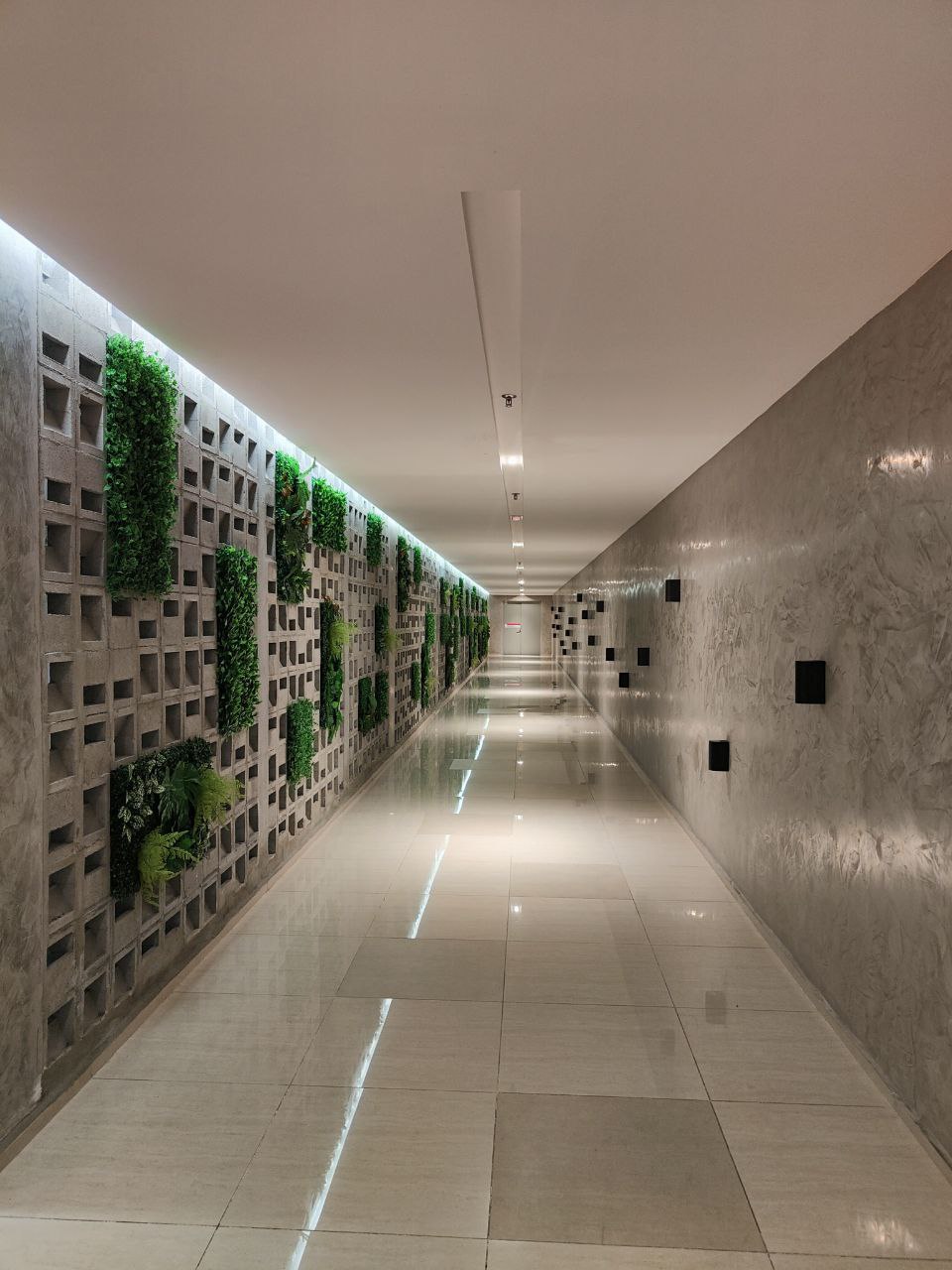 M Centura - photo 7
