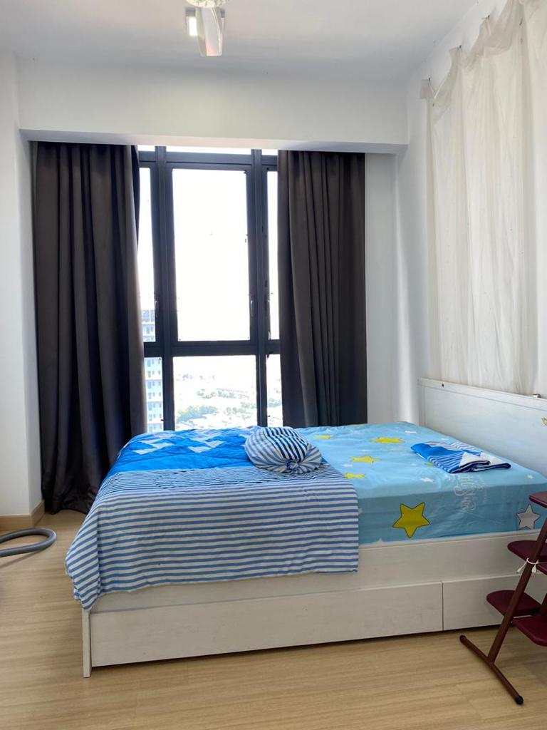 Shamelin Star - photo 5