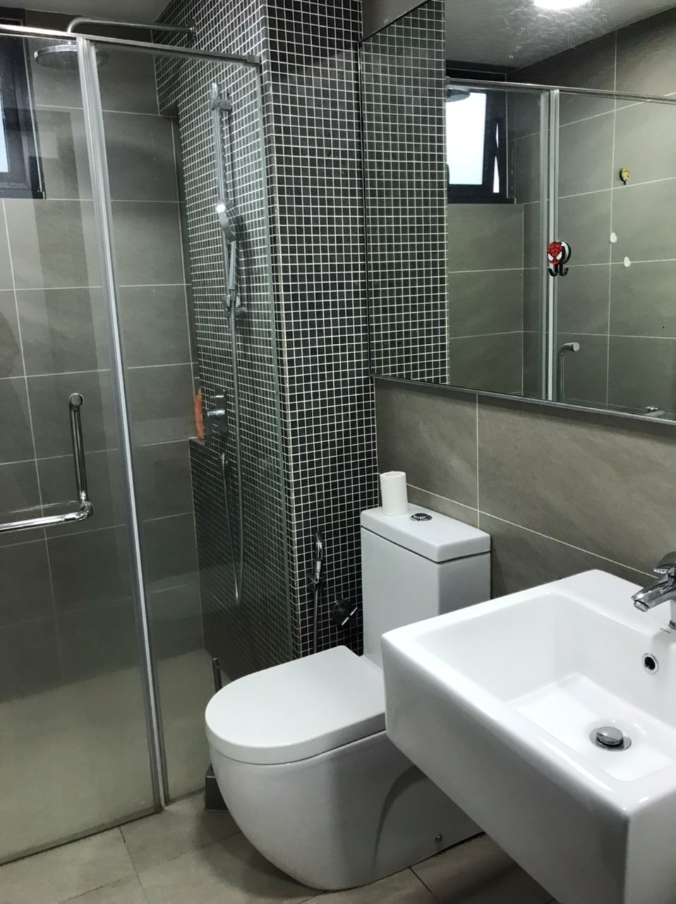 VR1 - photo 3