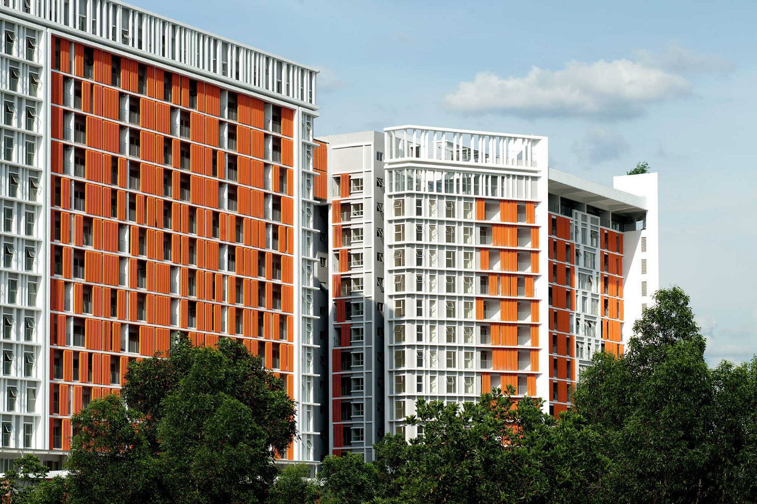 Suria Jelutong - photo 2